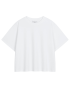 BASICWHITE.png